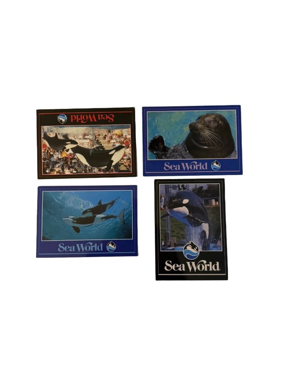 Vintage SeaWorld Postcard Lot of 4 Shamu Orca Sea Lion 1988 1989